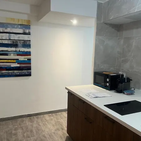 & Le Carrefour Lyonnais - Metro 5 Min Villeurbanne